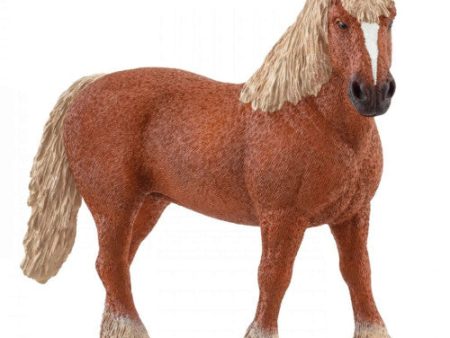 SCHLEICH - BELGIAN DRAFT HORSE Online Sale