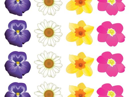 Flowers Daisys Daffodils Leather Flower the Spruce Edible Cupcake Topper Images ABPID13414 on Sale